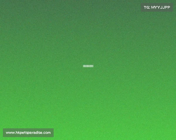 电子竞技专业的