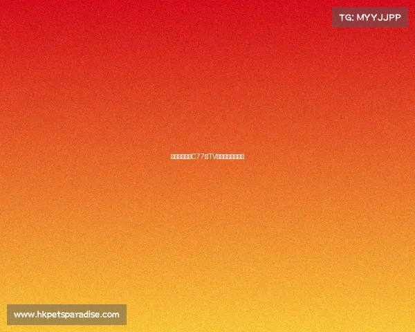 电竞新风尚:C77典TV全新平台正式上线