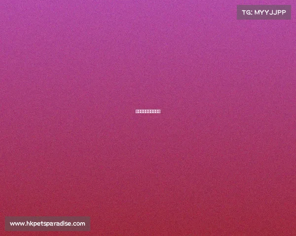 腾讯筑造电竞梦想热土